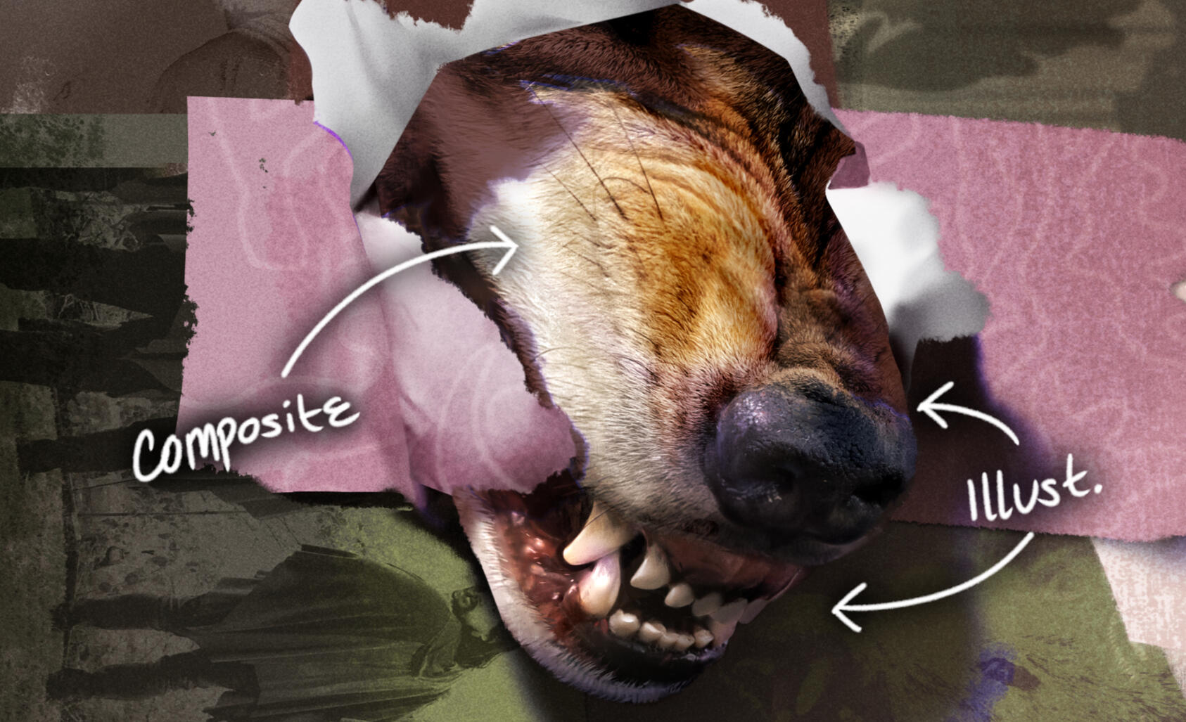 Composite + Illustration